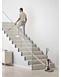 Dyson BALLANIMALMFNEW Ball Animal Multi-floor Upright Vacuum Cleaner - Silver